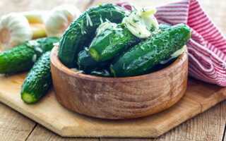 Малосольные огурцы — 7 рецептов быстрого приготовления с чесноком и зеленью