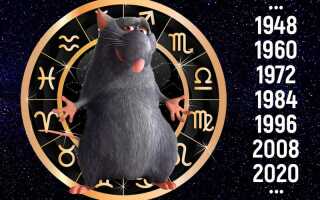 Гороскоп на 2019 год по году рождения Крыса