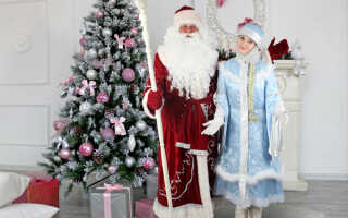 Сценарий поздравления Деда Мороза и Снегурочки на дому детям: на 10-15 минут