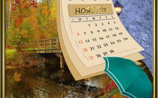 Православные праздники в ноябре 2023 года – церковный календарь на каждый день
