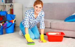 Как почистить ковер в домашних условиях быстро и эффективно
