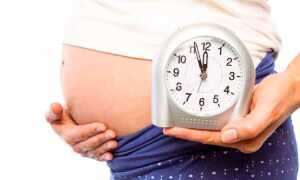 Сколько дней длится беременность у человека
